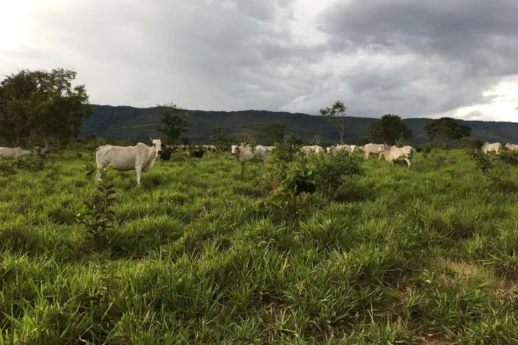 Sesc Serra Azul Park