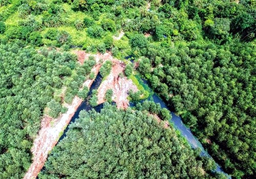 conservation-letters