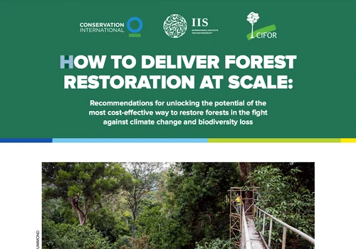 how-to-deliver-forest-restoration-at-scale